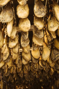 Kavurma işlemi sırasında bir kurutma odasında depolanan İber tedavi jambon