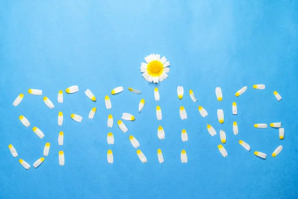 Palavra primavera escrita com pétalas brancas em um fundo azul — Fotografia de Stock