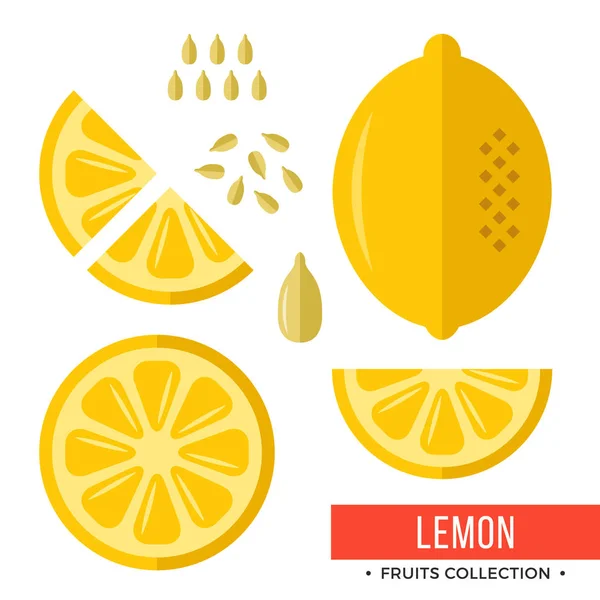 Citroen. Hele gele citroen en delen, segmenten, zaden. Set van vruchten. Platte ontwerp grafische elementen. Vectorillustratie — Stockvector