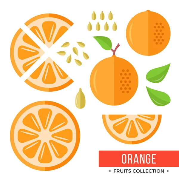 オレンジ色。全体のオレンジと部品、スライス、種子、葉。フルーツのセットです。フラット デザイン グラフィック要素です。ベクトル図 — ストックベクタ