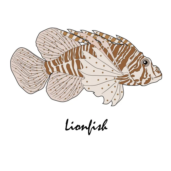 Lionfish Acuario de agua salada Ilustración vectorial de peces — Archivo Imágenes Vectoriales