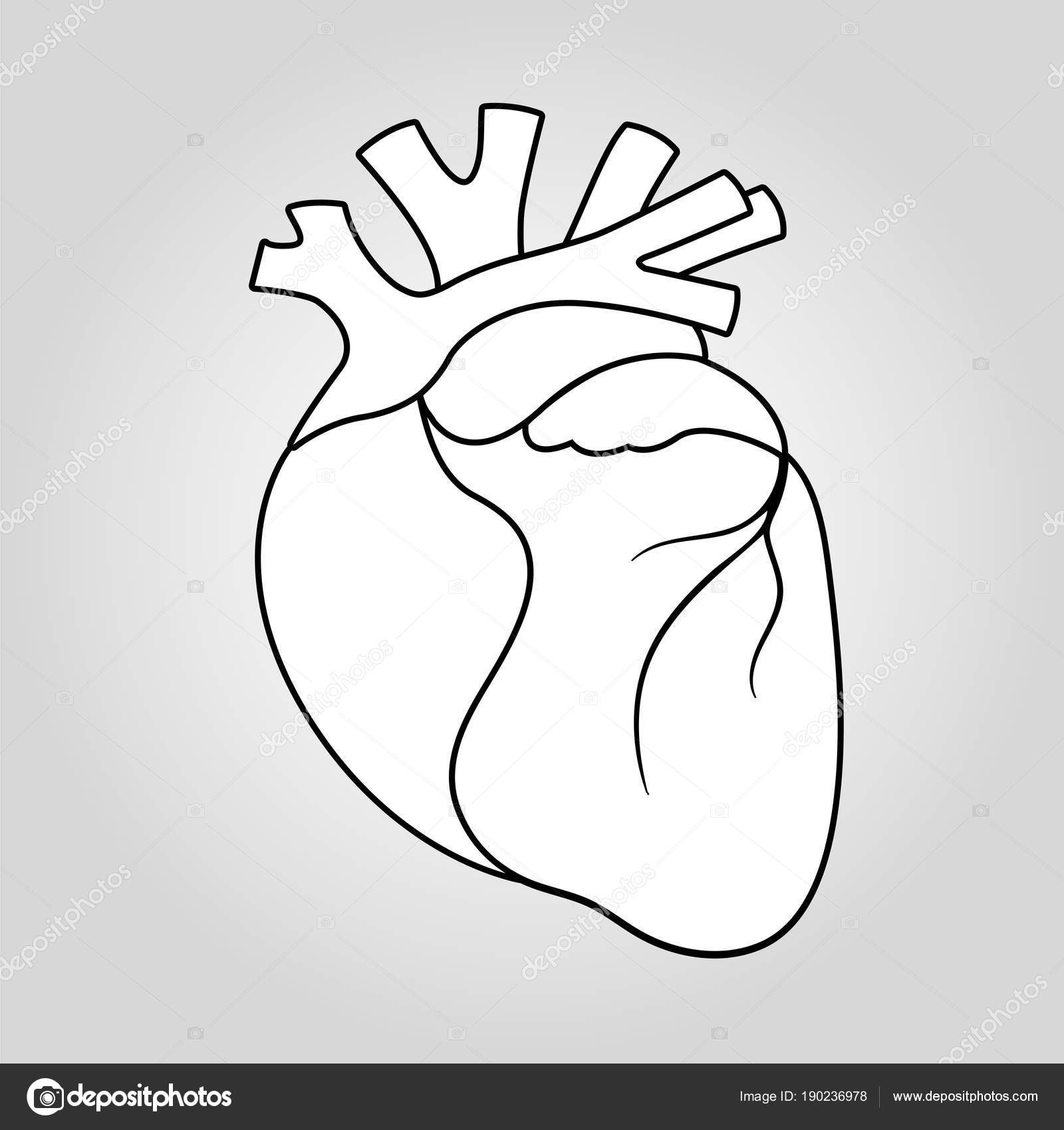 My Image 24