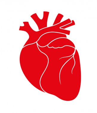 İnsan kırmızı kalp simgesi