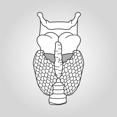 Tiroid bezi simge vektör çizim