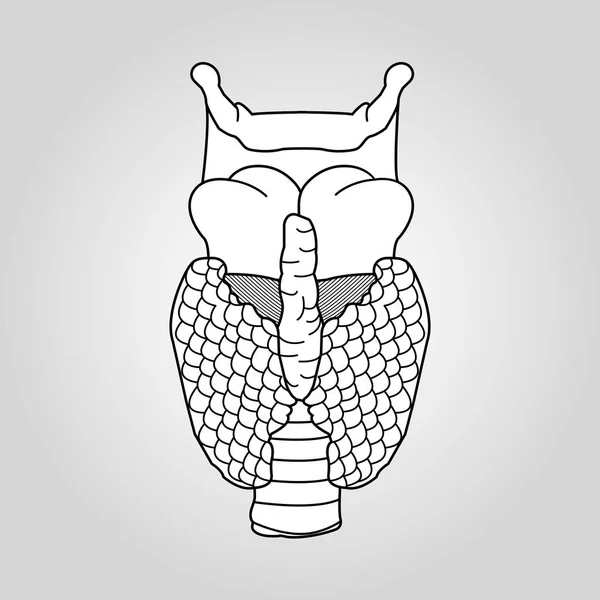 Schilddrüse Symbol Vektor Illustration — Stockvektor