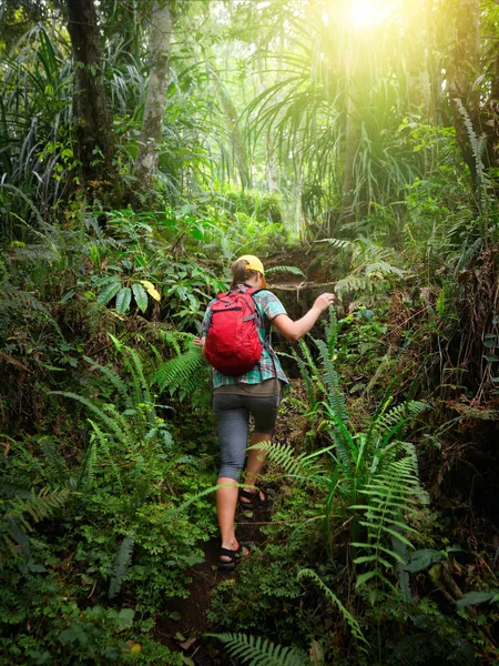 Mulher viajante com mochila subir a colina na floresta . — Fotografia de Stock