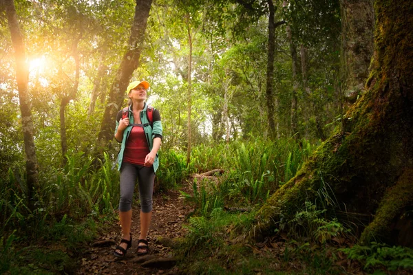 Femme voyageur avec sac à dos marchant dans la forêt tropicale . — Photo