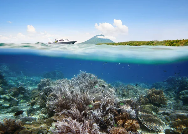 Mergulhadores vistas belo recife de coral com muitos peixes perto de Bunaken é — Fotografia de Stock