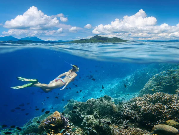 Женщина плавает вокруг кораллового рифа в окружении множества рыб — стоковое фото