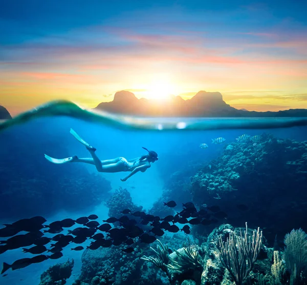 Женщина ныряет с маской в прозрачных тропических водах океана в день заката — стоковое фото