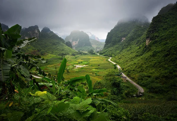 Picturesque road among the karst mountains leads to the town of — Stock Photo, Image