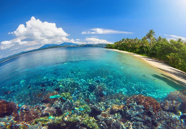 Hermosa playa con un arrecife de coral en una isla tropical —  Fotos de Stock