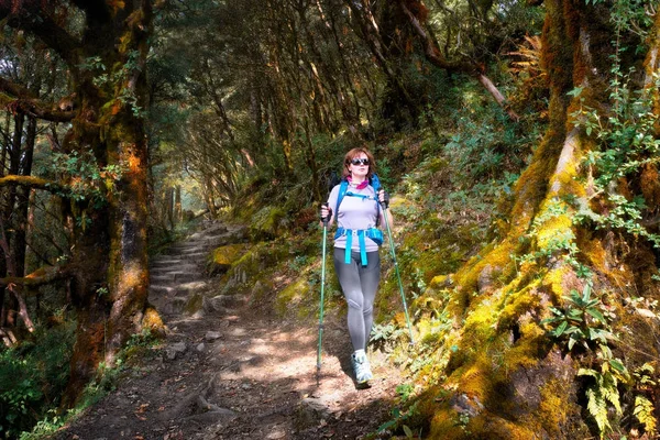 Hiker with backpack walk on mountain trail in forest — Stock Photo, Image