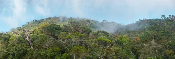 スリランカのホートン国立公園の熱帯雨林の高い山のパノラマビュー — ストック写真
