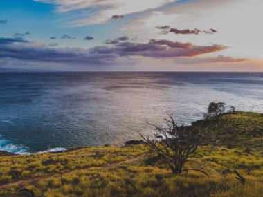 Balina uyanık noktada çarpıcı günbatımı