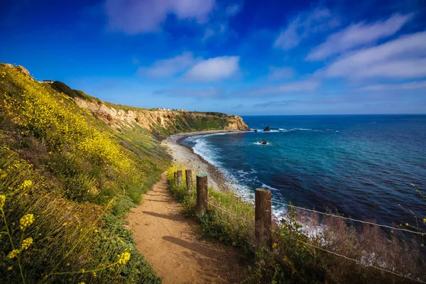 Rancho Palos Verdes Super Bloom — Fotografia de Stock