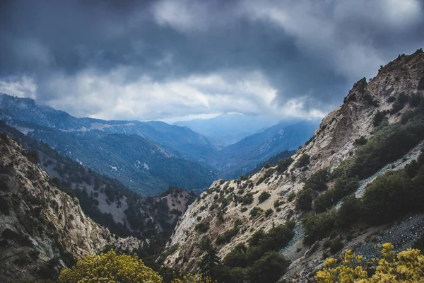 Angeles Ulusal Ormanı kanyonda