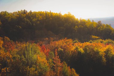 Mont Tremblant sonbahar yaprakları