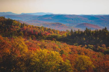 Mont Tremblant sonbahar yaprakları