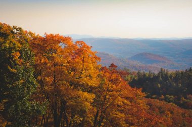 Mont Tremblant sonbahar yaprakları