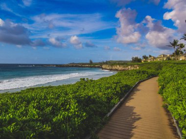 Tenha Oneloa sahil yolu