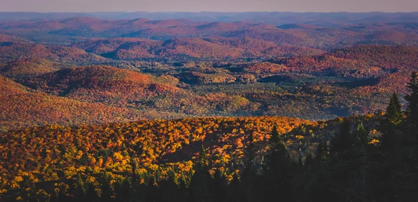 Mont Tremblant Fall Foliage — Stock Photo, Image
