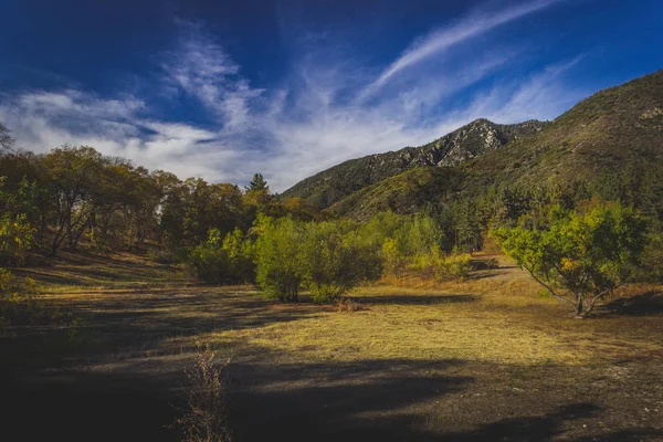 Trail Oak Glen Zachowaj — Zdjęcie stockowe