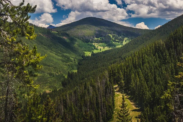 Vail Mountain coberto de árvores — Fotografia de Stock