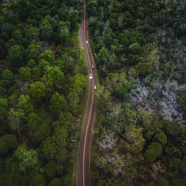 Winding Road Aerial