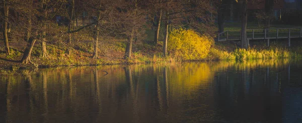 Stockholm Fall Foliage at Sunrise — Stock Photo, Image