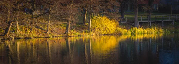 Stockholmer fallen Laub bei Sonnenaufgang — Stockfoto