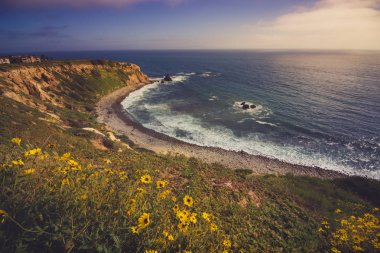 Rancho Palos Verdes Super Bloom