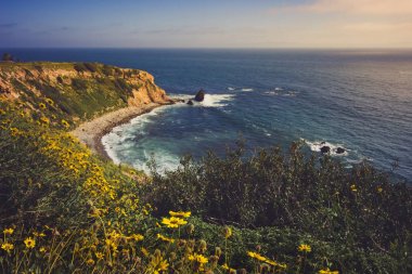 Rancho Palos Verdes Super Bloom
