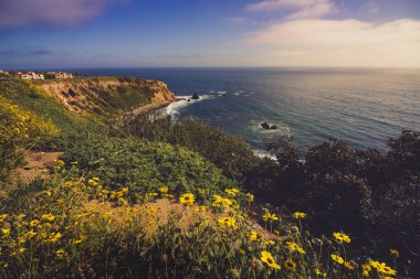 Rancho Palos Verdes Super Bloom