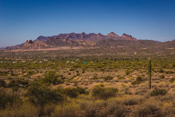 สวนสาธารณะรัฐดัทช์แมนที่หายไป Saguaros — ภาพถ่ายสต็อก