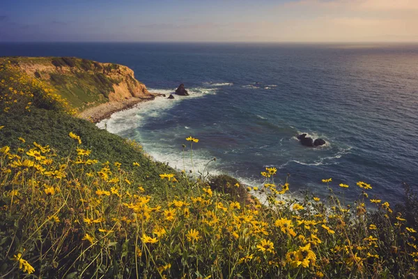 Rancho Palos Verdes Super Bloom — Stockfoto