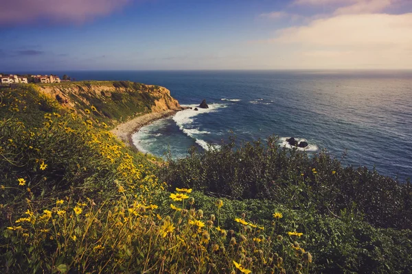 Rancho Palos Verdes Super Bloom — Stok fotoğraf