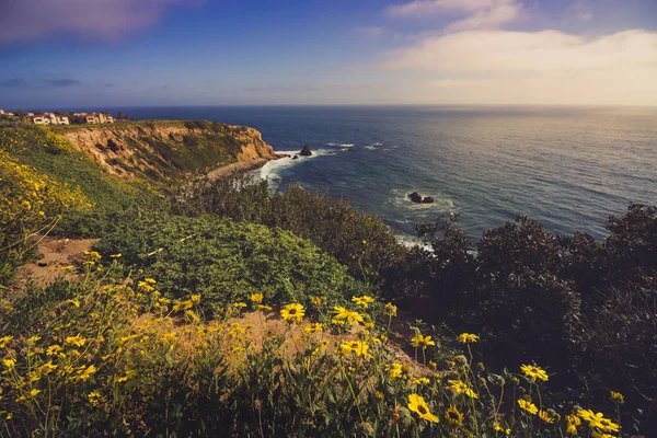 Rancho Palos Verdes Super Bloom — Fotografia de Stock