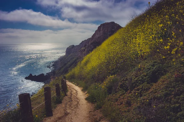 2017, Rancho Palos Verdes, California süper Bloom — Stok fotoğraf