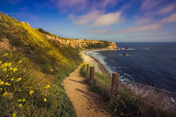 2017, Rancho Palos Verdes, California süper Bloom — Stok fotoğraf