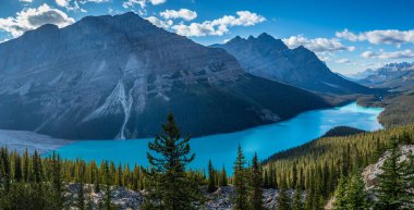 Muhteşem Peyto Gölü Panorama