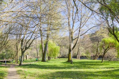 Caldas de Reis botanical park