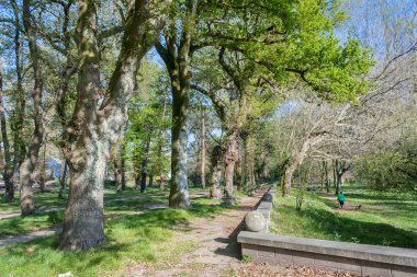 Ağaçlar Caldas de Reis Botanik Parkı