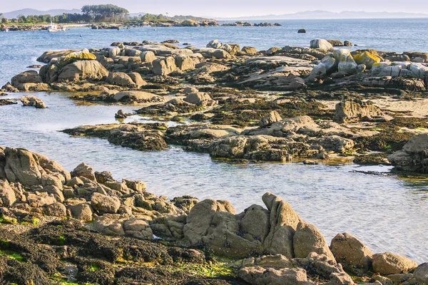 SALGA si skály na pobřeží — Stock fotografie