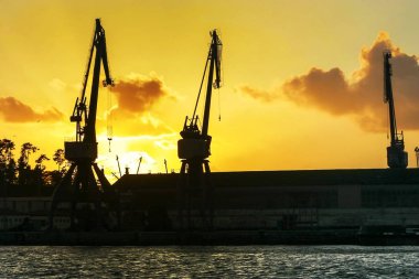 Gün batımında büyük Vinçler