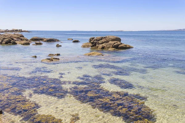 Rocks on the coast — Stock Photo, Image