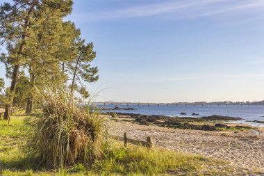 Vilanova de Arousa 'daki Terron plajı.