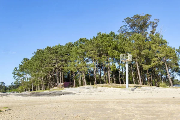 Bos en wachttoren op Terron strand — Stockfoto