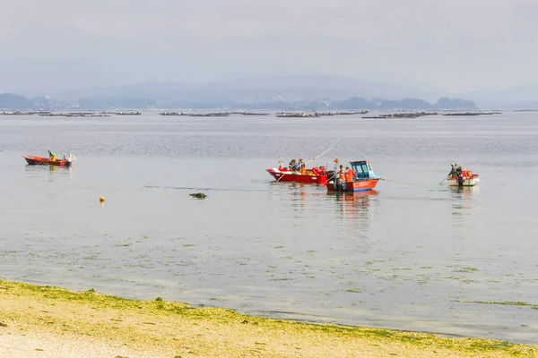 Four boats fishing clams — Stock Photo, Image