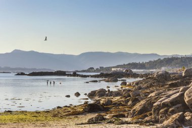 Arousa Island Sahil kayalar